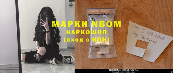 гидра Карпинск