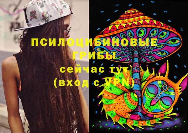гидра Карпинск