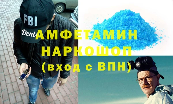 гидра Карпинск