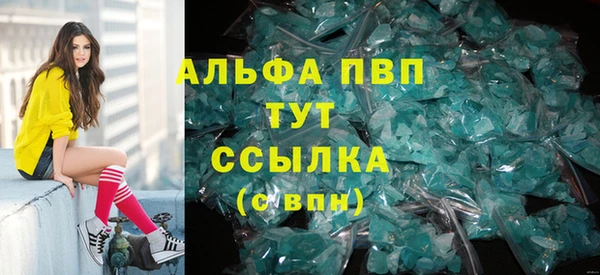 гидра Карпинск