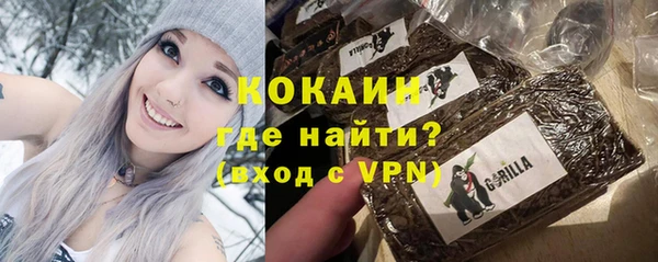 гидра Карпинск