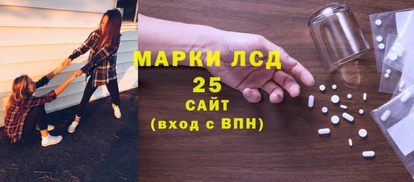 гидра Карпинск